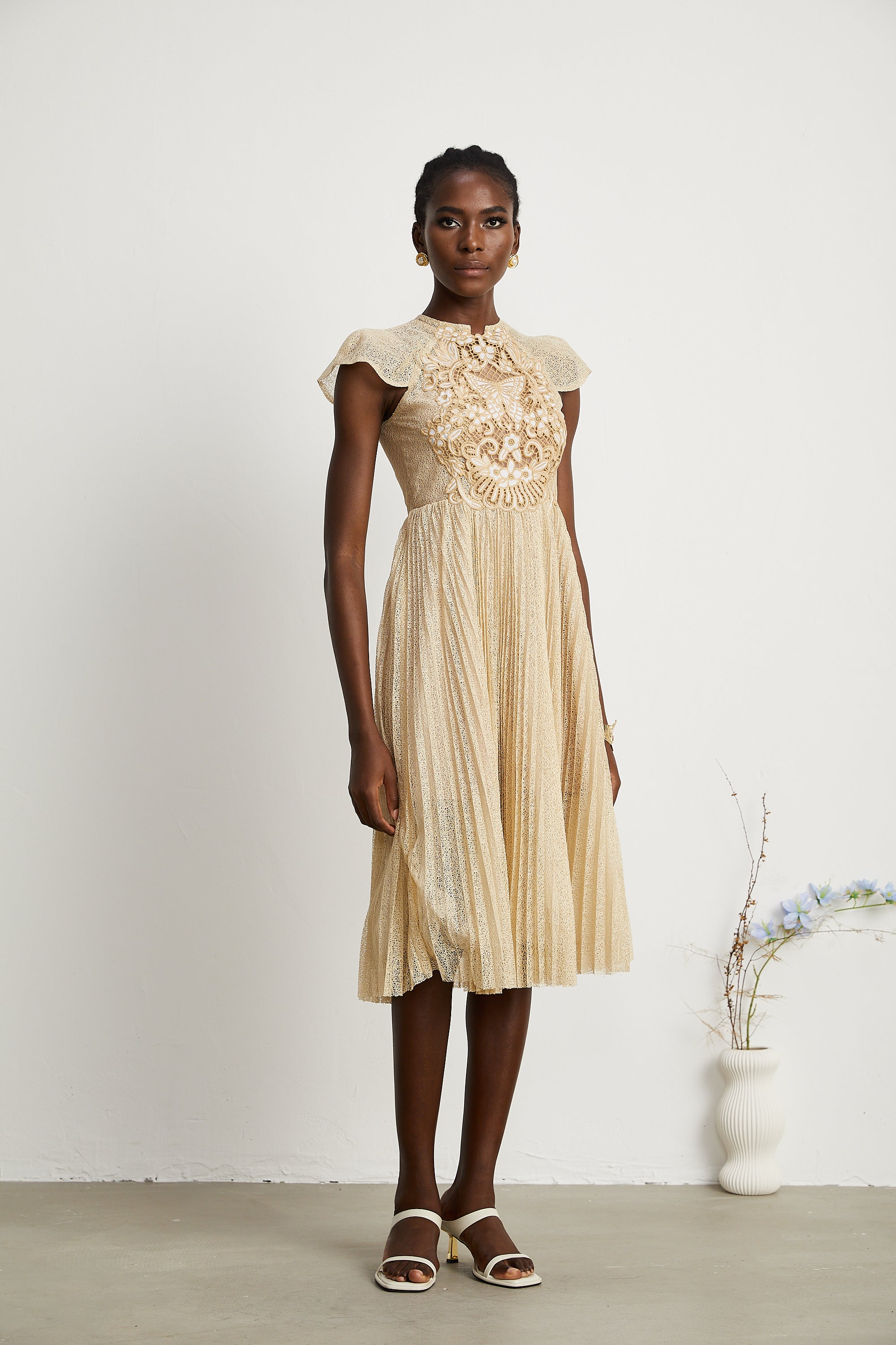 Nerissa Pleated Midi Dress by SIENA - image 5