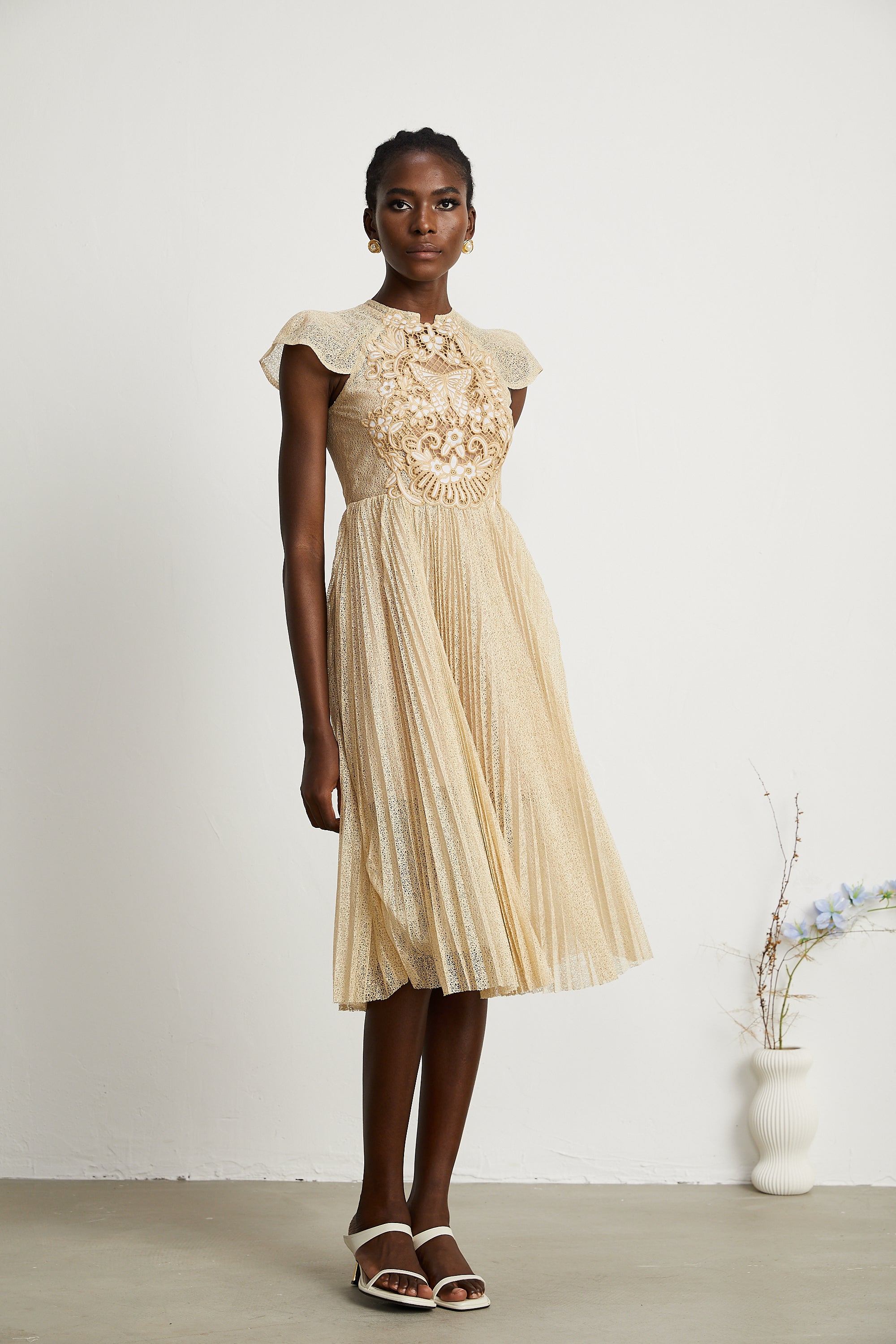 Nerissa Pleated Midi Dress by SIENA - image 8