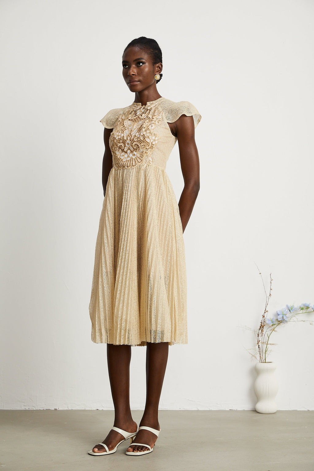 Nerissa Pleated Midi Dress by SIENA - image 9