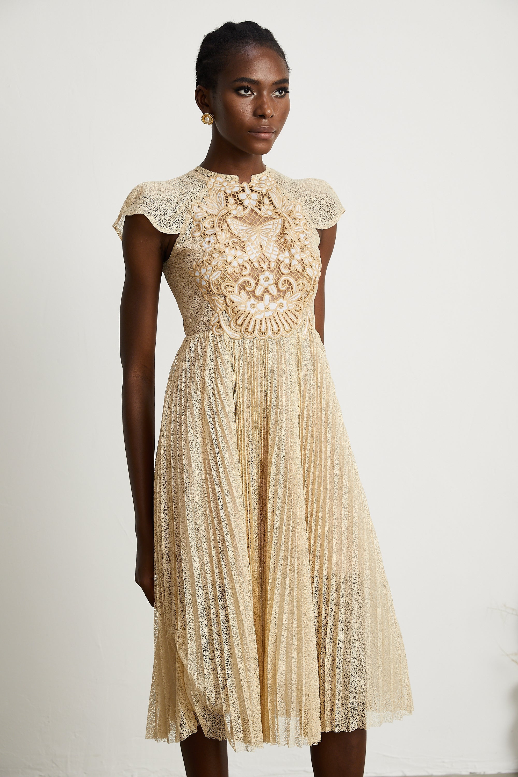 Nerissa Pleated Midi Dress by SIENA - image 3