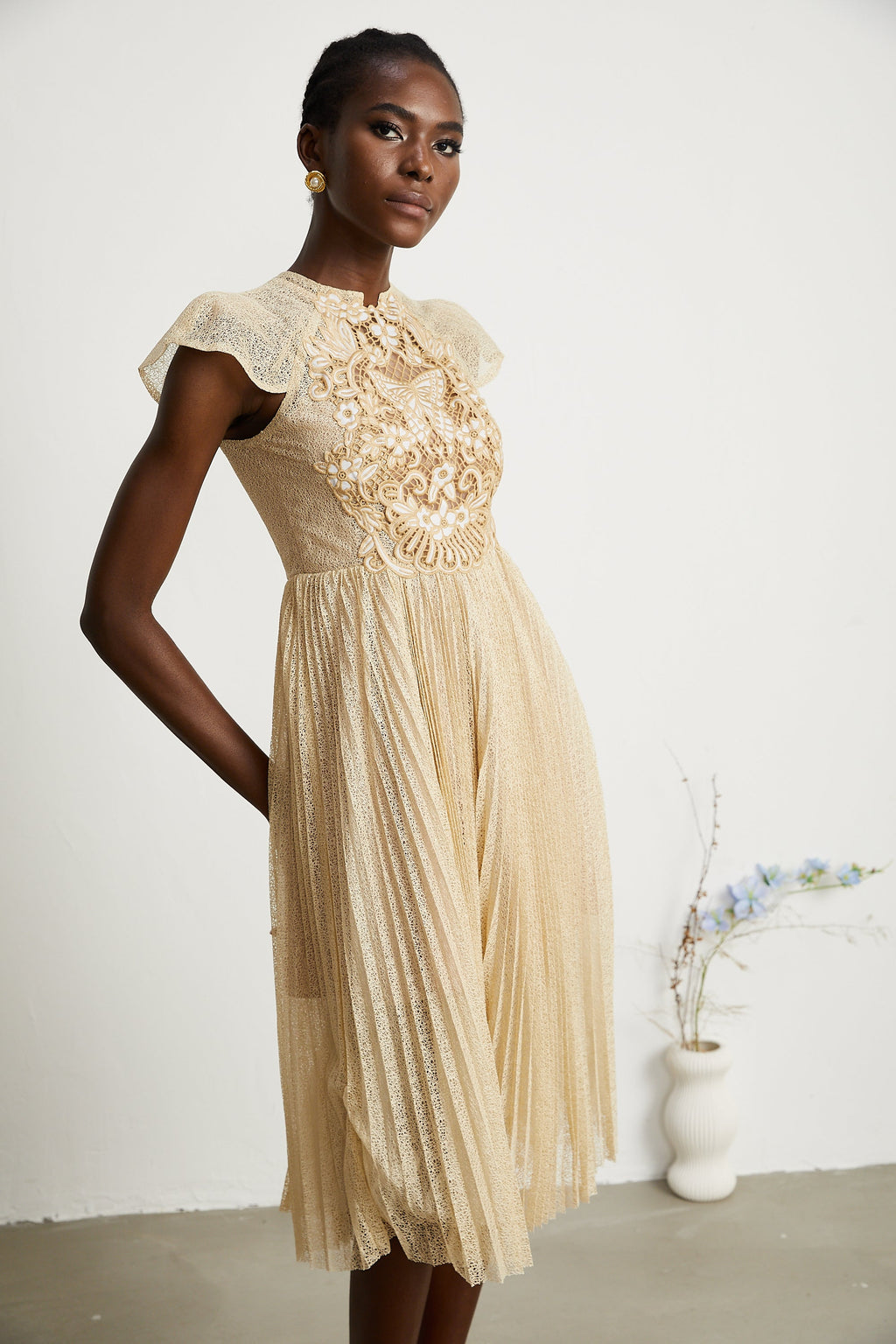 Nerissa Pleated Midi Dress by SIENA - image 10