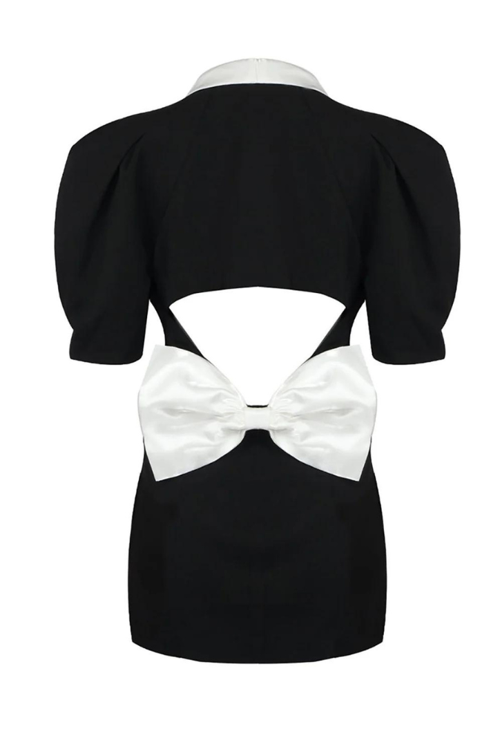 Melody Dress by SIENA - image 8