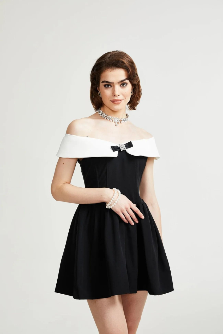 Penelope Crystal Mini Dress by SIENA - image 4