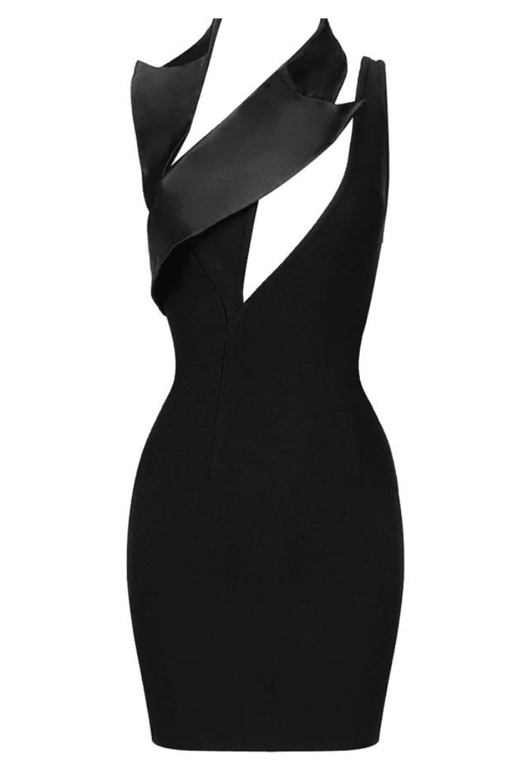 Blaize Mini Dress by SIENA - image 8