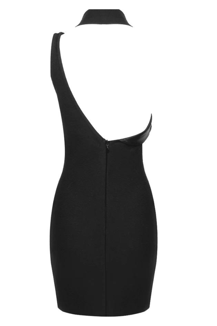 Blaize Mini Dress by SIENA - image 9