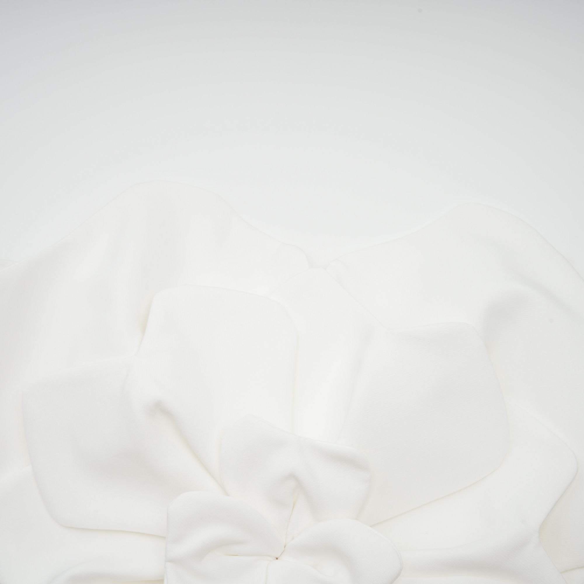 Penelope Floral Crop Top by SIENA - image 11