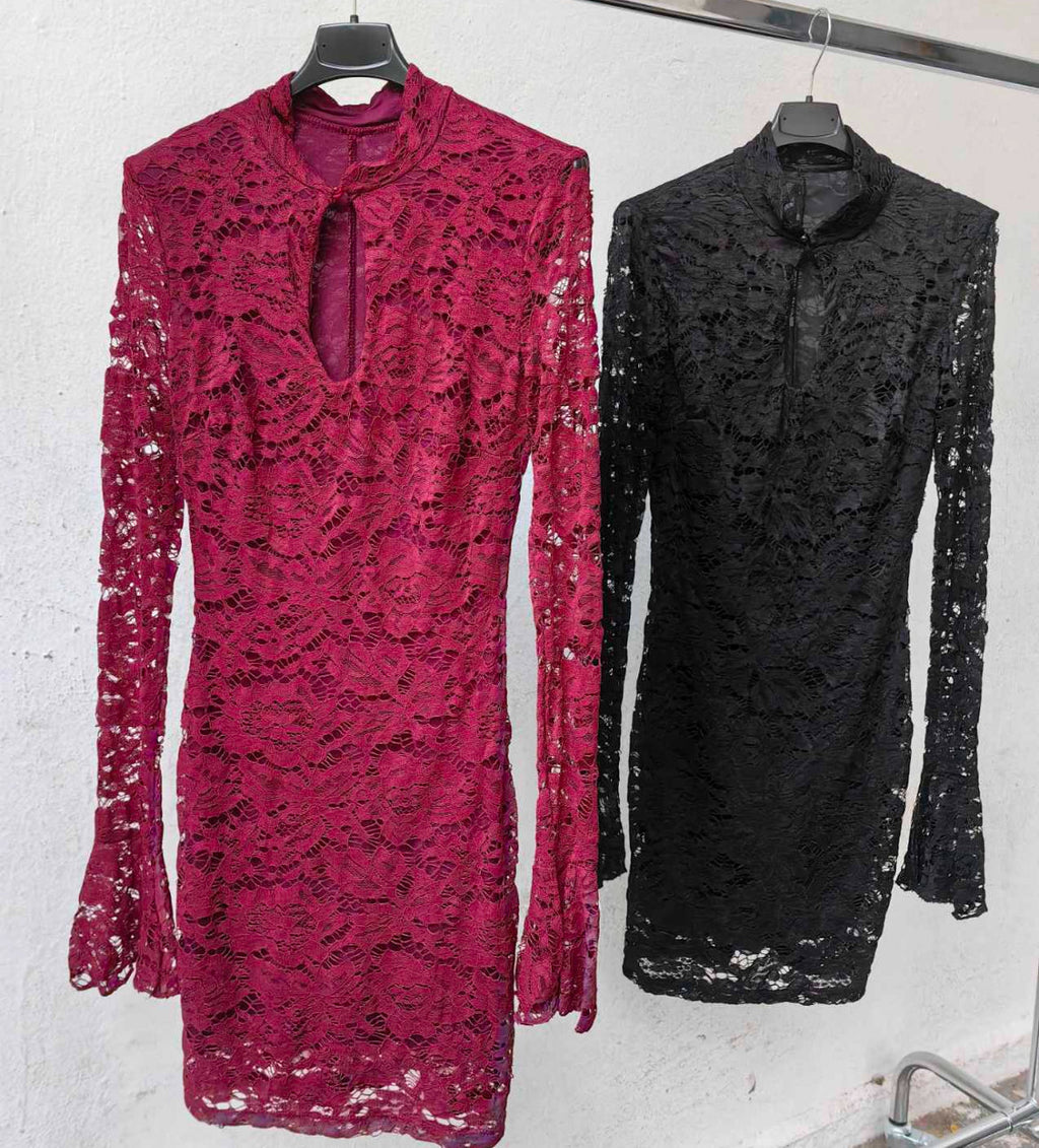 Mirelle Lace Mini Dress by SIENA - image 10