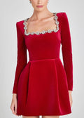 Valentine Velvet Mini Dress by SIENA