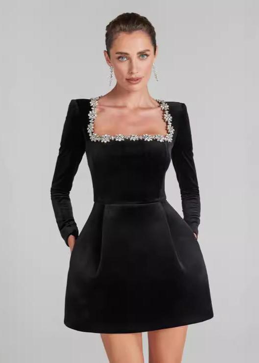 Valentine Velvet Mini Dress by SIENA - image 5